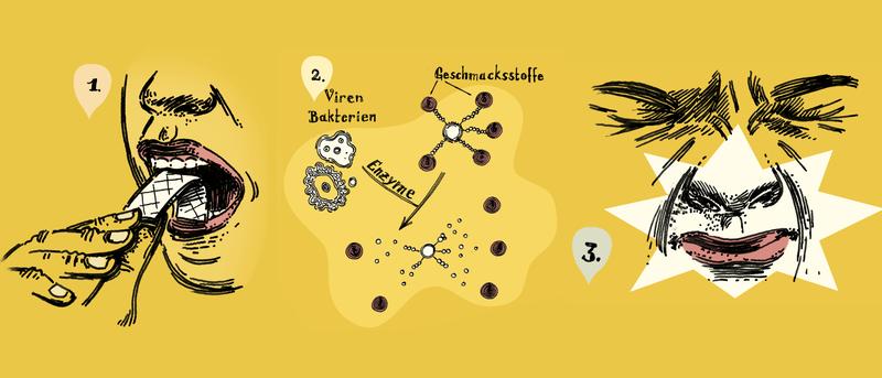 So funktioniert der Grippe-Sensor: 1. Eine infizierte oder erkrankte Person kaut einen Kaugummi. 2. Enzyme der Viren setzen die darin enthaltenen Geschmacksstoffe frei. 3. Die Person nimmt die Stoffe wahr und erkennt die Infektion.