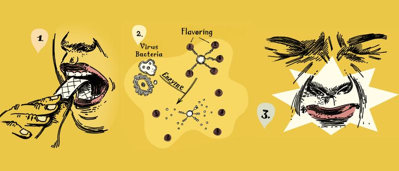 How the flu sensor works: 1. An infected or sick person chews gum. 2. Enzymes in the virus release the flavourings contained in the gum. 3. The person perceives the substances and recognises the infection. 