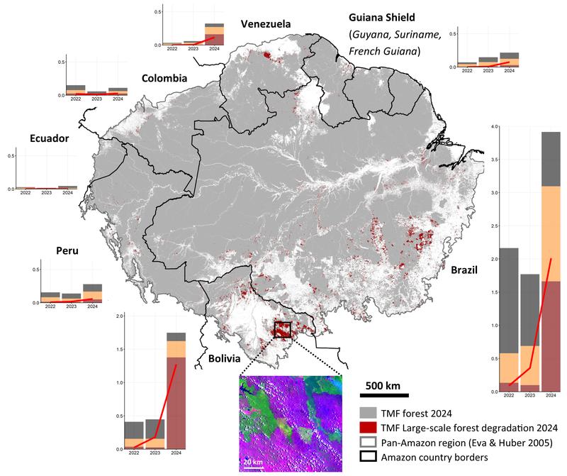 Figure 1: Pan-Amazon map showing newly detected large-scale forest degradation in 2024, primarily driven by fires, along with country-level trends in deforestation, forest degradation, and forest fires from 2022 to 2024 (source: Bourgoin et al., 2025)