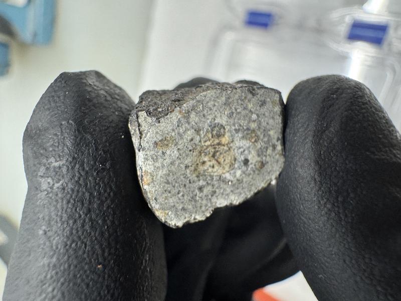 Zur Untersuchung wurde das Meteoriten-Fragment zersägt - das Foto zeigt den Anschnitt.