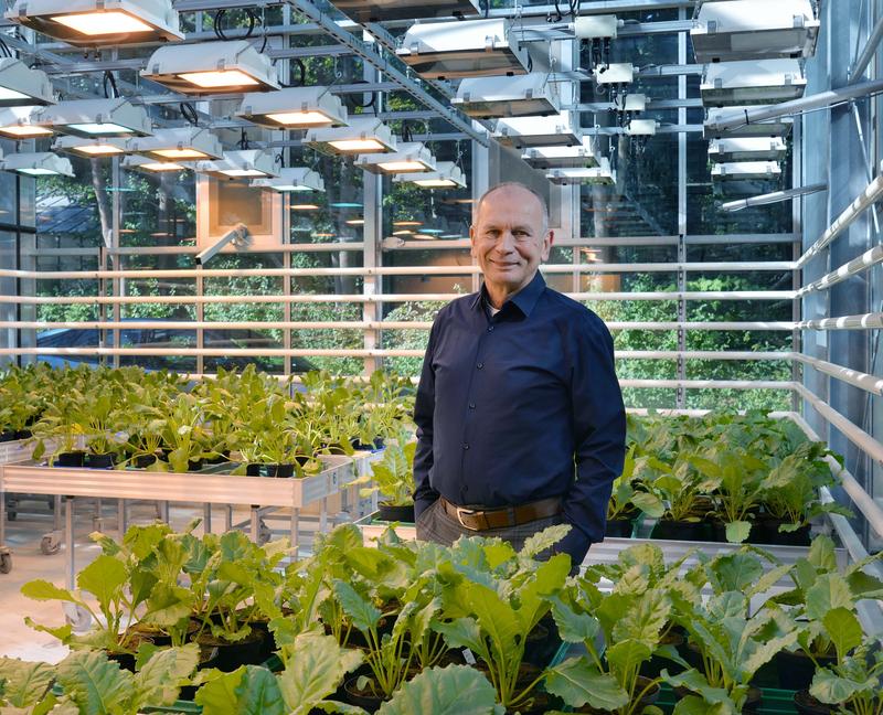 Professor Uwe Conrath hat erstmals umfassend zu den gemeinsamen Mechanismen zwischen der systemischen Immunität von Pflanzen und der antrainierten Immunität des Menschen veröffentlicht.