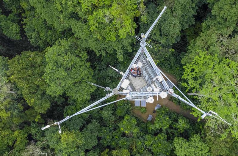Das Foto zeigt einen Messturm im Kongobecken, der im Rahmen des Projekts verwendet wird 