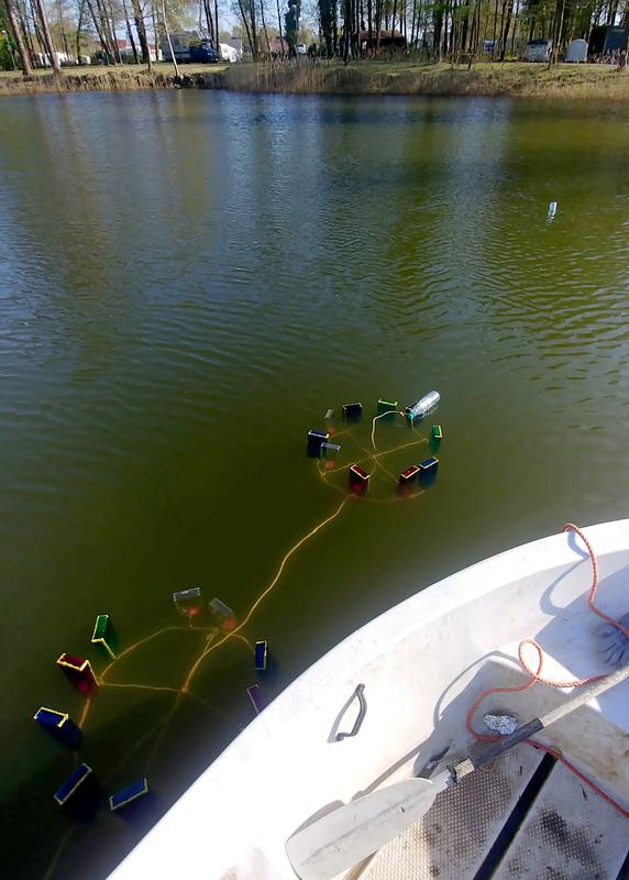 Experiment in the Schortens bathing lake in Lower Saxony: The researchers filled bottles wrapped in red, blue, and green light filter film with phytoplankton and placed them at various positions underwater. 