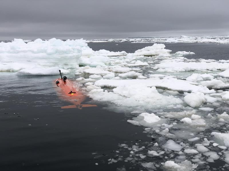 A replacement has now been found for the underwater vehicle Ran, which contributed to a wealth of new knowledge about the Thwaites Glacier in Antarctica, among other things. Ran II will be delivered in just over a year, in the winter of 2026/2027.