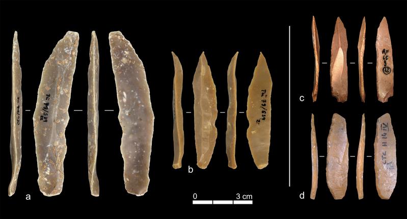 Beispiele für Steinartefakte aus dem Ahmarien von Ksar Akil (a & b) und dem Protoaurignacien von Grotta di Fumane (c) sowie Grotta di Castelcivita (d). 