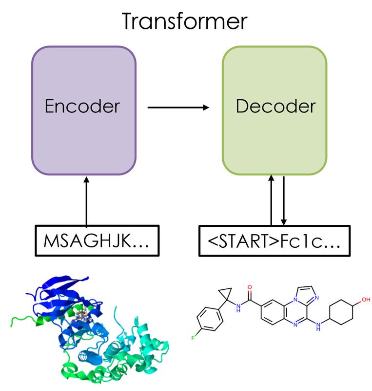 Schematische Darstellung eines Transformatormodells zur Vorhersage neuer Verbindungen auf der Basis von Proteinsequenzdaten. 