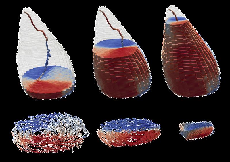 Schnitte des magnetischen 3D-Volumens des Fossils in drei verschiedenen Höhen: Die blau/rote Farbe zeigt die in der Ebene liegende Komponente der Magnetisierung an, wobei die magnetischen Momente um eine zentrale Linie wirbeln und ein Wirbelmuster bilden.