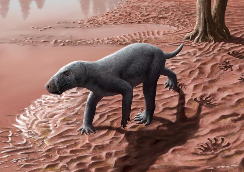 Illustration eines Gorgonopsiers