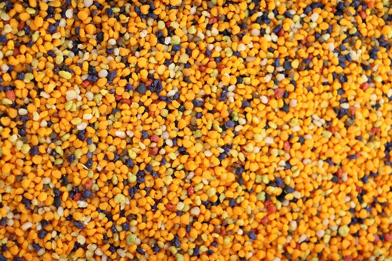 A look inside the pollen drawer reveals many different coloured pollen pellets.