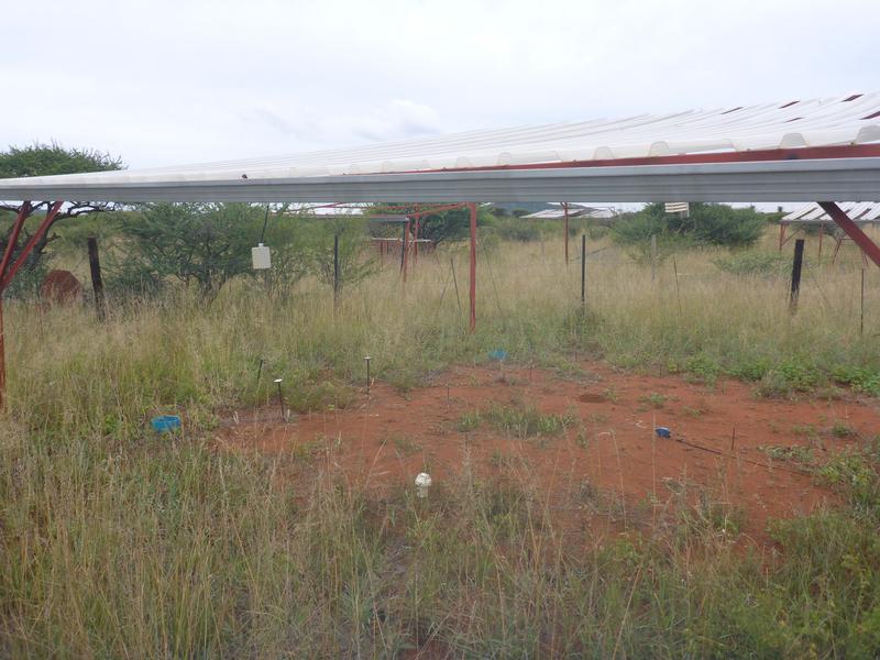 Versuchsgelände in Südafrika