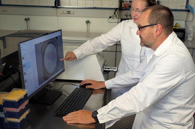 Elke Müller und Dr. Sascha D. Braun vom Leibniz-IPHT und dem InfectoGnostics Forschungscampus Jena analysieren proteinbasierte Mikroarray-Daten für die Entwicklung von Schnelltests gegen resistente Keime.