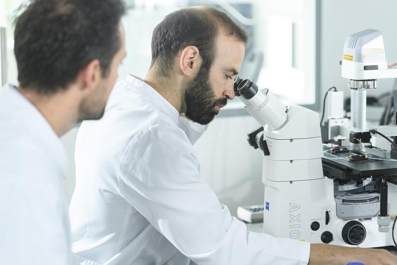 Der Wissenschaftler Vasco Sequeira erforscht am DZHI den oxidativen Stress, der das Herz belastet. 
