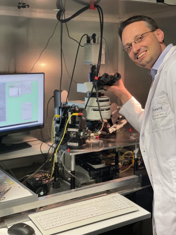 Prof. Dr. Madry, Institut für Neurophysiologie Charité Berlin 