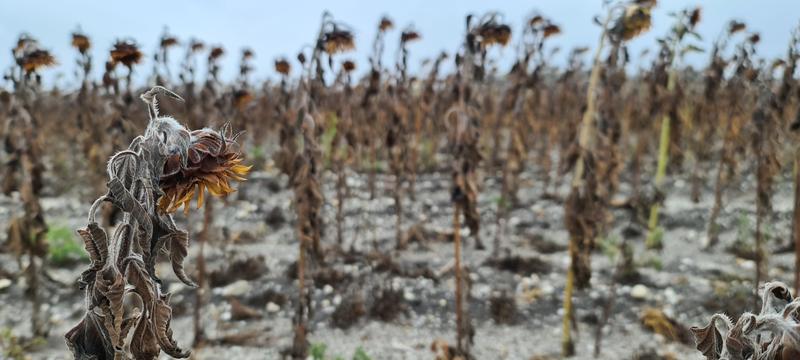 Zukunftsfähig handeln: Klimaforscher Prof. Dr. Elmar Kriegler spricht am 4. November 2025 beim INa-Nachhaltigkeitsforum der Hochschule für Wirtschaft und Recht Berlin über Wege in eine nachhaltige und klimafreundliche Zukunft.