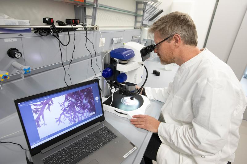 Researches large algae: Kai Bischof, professor at MARUM – Center for Marine Environmental Sciences and in Faculty 2 Biology/Chemistry at the University of Bremen.