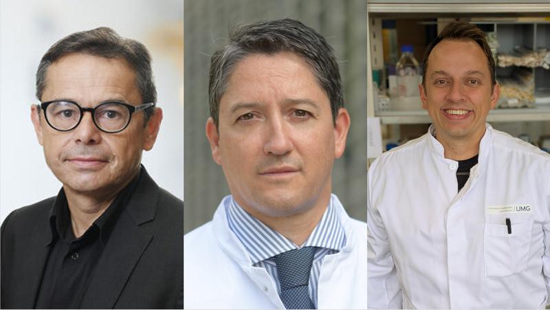 Prof. Dr. Günter Schneider, Universitätsmedizin Göttingen (UMG), Prof. Dr. Ulrich Keller, Charité - Universitätsmedizin Berlin, und Priv.-Doz. Dr. Matthias Wirth, UMG (v.l.n.r.). 