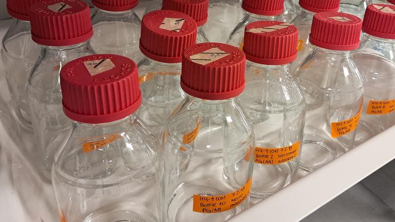  Grundwasserproben im Labor, in denen Bakterien der Candidate Phyla Radiation unter verschiedenen Bedingungen angereichert werden. 