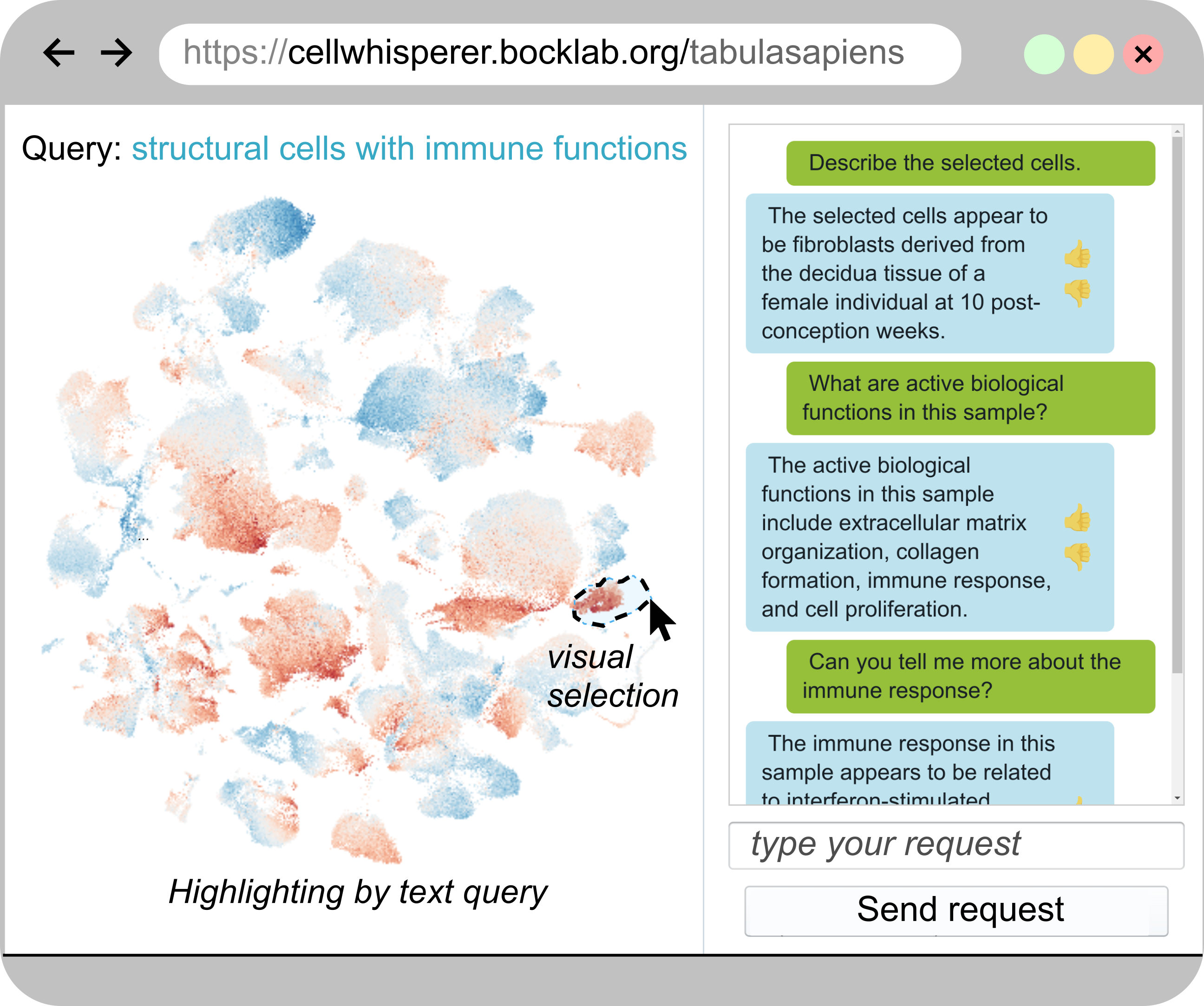 Mit Zellen reden: AI ermöglicht biologische Datenanalyse im Chat-Dialog mit  dem Computer