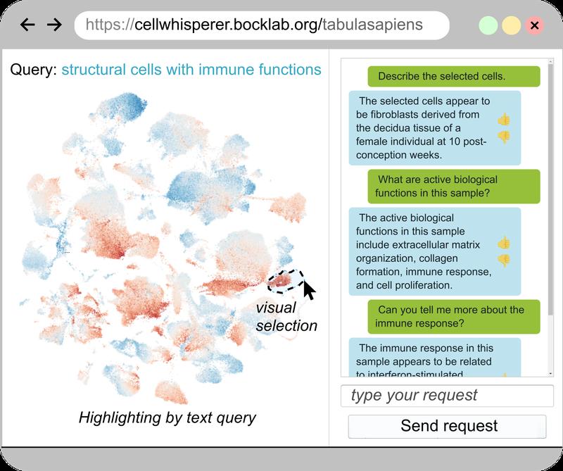 Screenshot der CellWhisperer AI zur chat-basierten Analyse von RNA-Daten