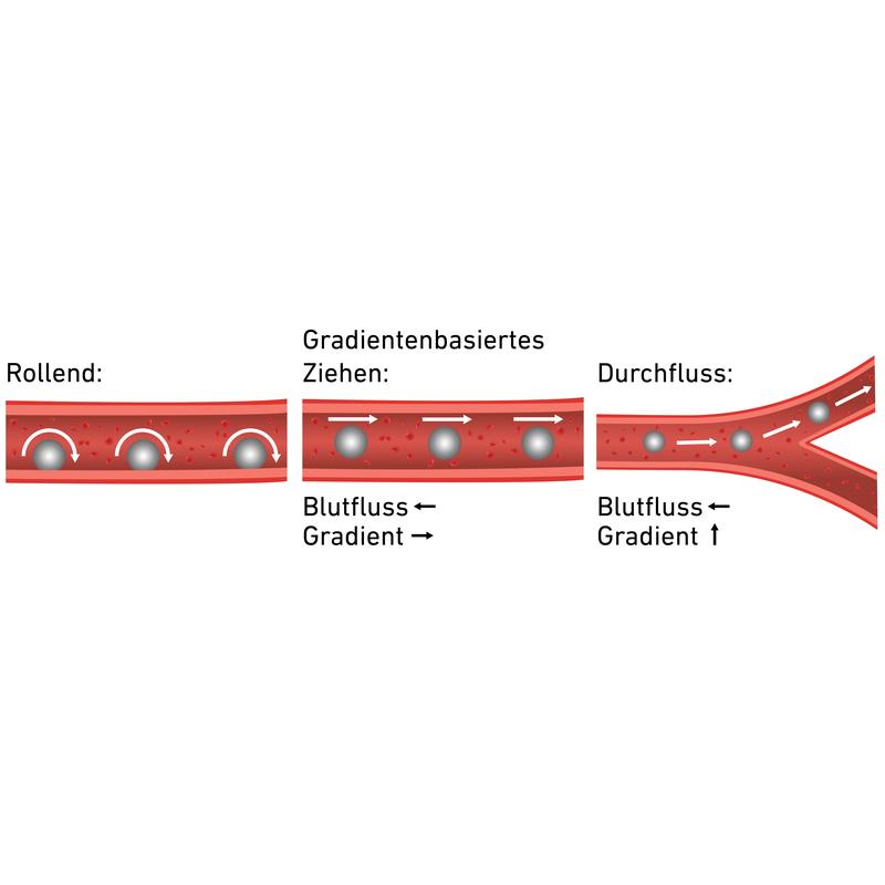 Grafische Darstellung der verschiedenen Naviagationsmöglichkeiten