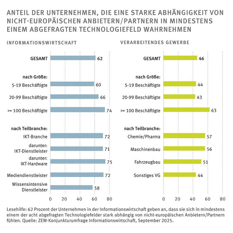 Anteil der Unternehmen, die eine starke Abhängigkeit von nicht-europäischen Anbietern/Partnern in mindestens einem abgefragten Technologiefeld wahrnehmen