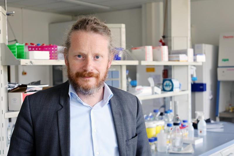 Prof. Dr. Rainer Adelung möchte neue hochskalierbare Materialkonzepte entwickeln, die die kosteneffiziente Elektrolyse in industriellem Maßstab ermöglichen. Foto: 