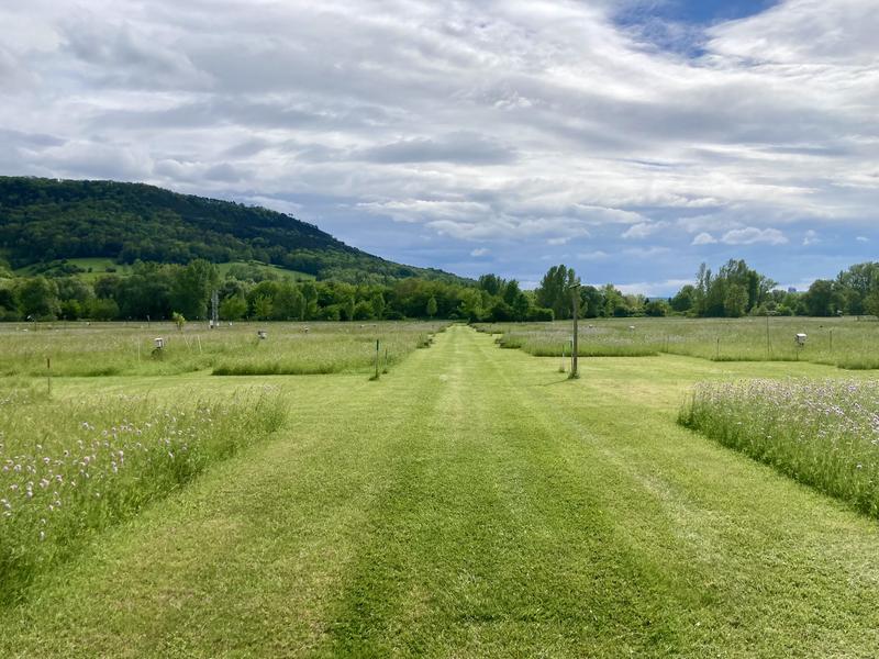 Teil der Daten wurden beim Jena-Experiment erhoben, einem der zwei Forschungsprogrammen, die in der Studie vorkommen.