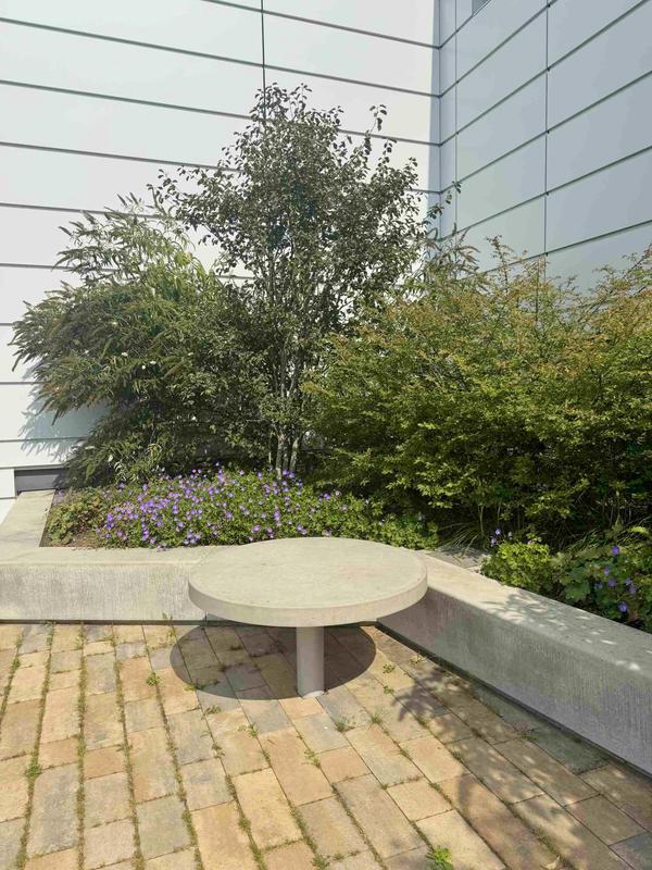 Roof terrace at Fraunhofer FEP