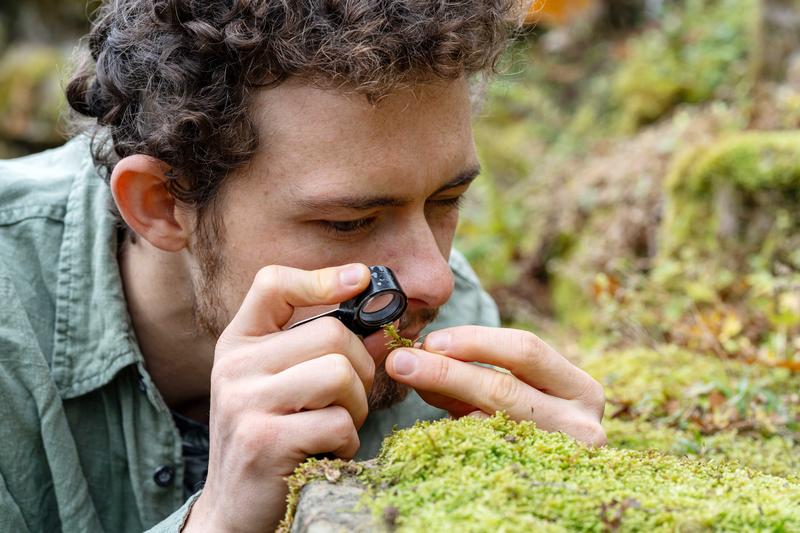 Erstautor der Studie, der Biologe Till Deilmann von der Uni Jena, nimmt Moospflanzen unter die Lupe.