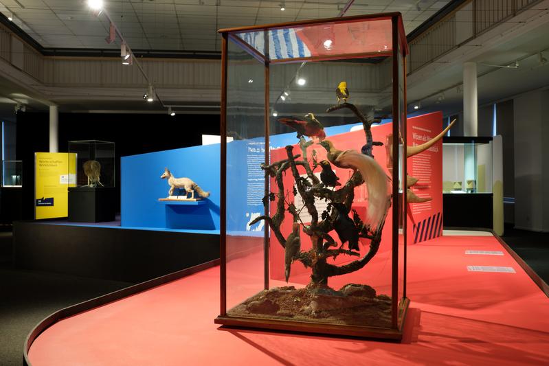 Einblick in die Aktionsfläche RE:vision. Vom Staunen zum Verstehen.