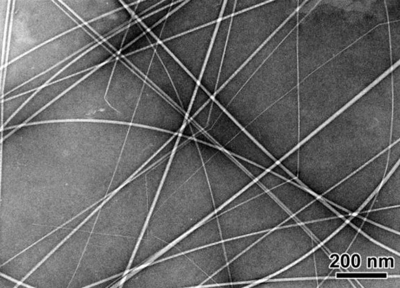   Cellulose microfibrils extracted from green algae