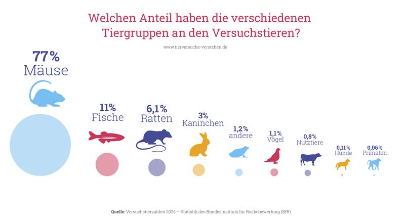 Welchen Anteil haben die verschiedenen Tiergruppen an den Versuchstieren?