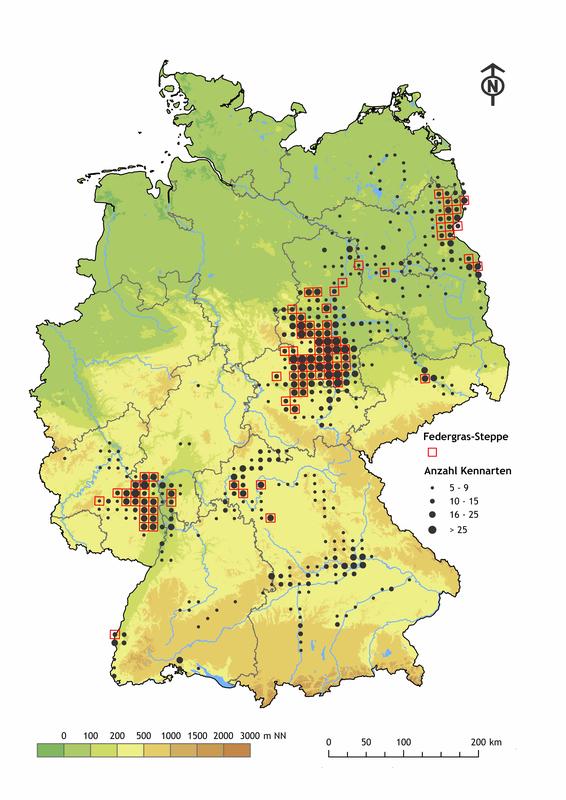 Verbreitungskarte Federgras-Steppe