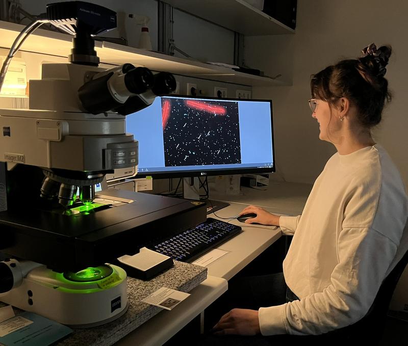 Joerdis Stuehrenberg sitting at the epifluorescence microscope marking target cells for subsequent NanoSIMS analyses. 