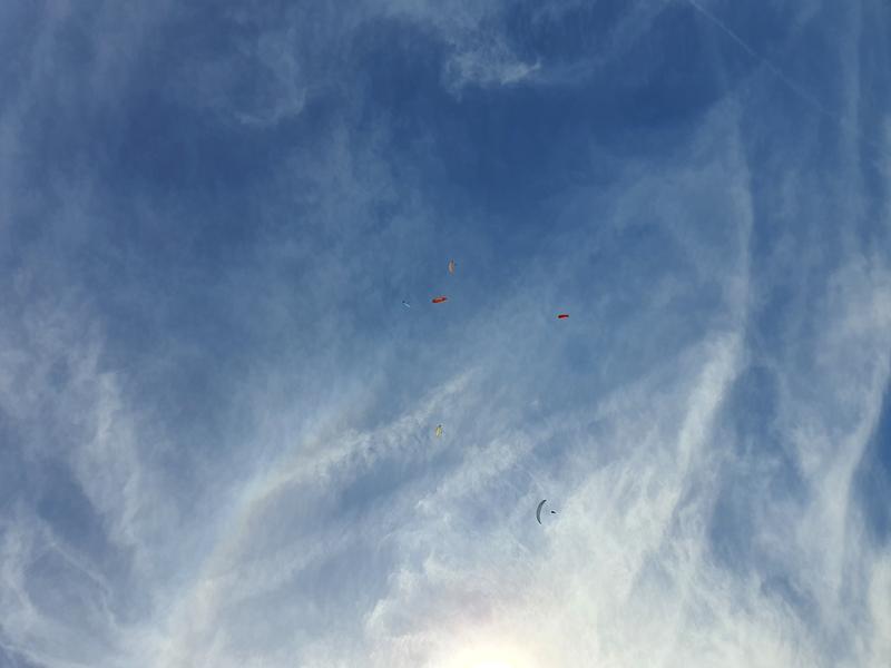 In this image a large number of contrails are visible that are either embedded in existing cirrus clouds or have developed further into cirrus homomutatus. The latter are clouds that originate from a human-made source.