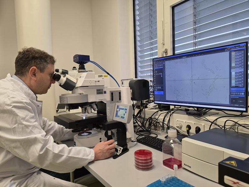 Prof. Dr. Evgeny A. Idelevich am Mikroskop