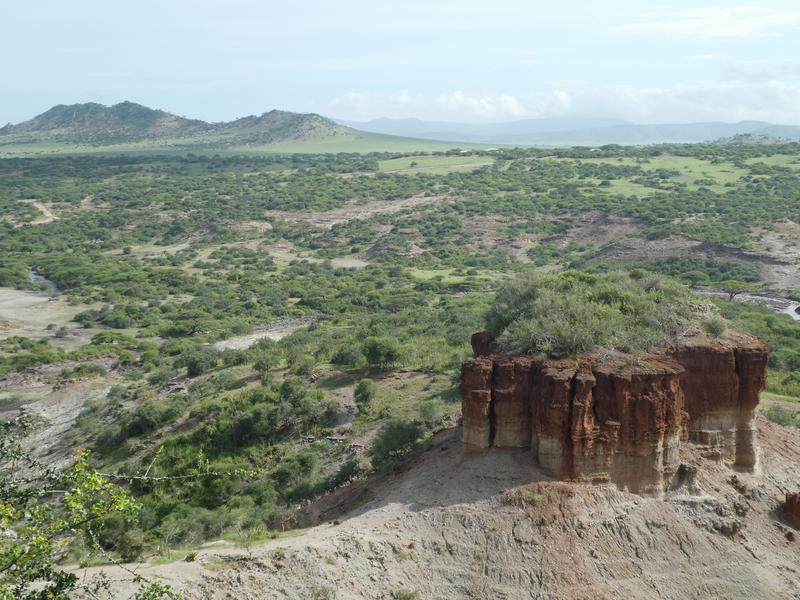 Die Olduvai-Schlucht in Tansania ist eine der bedeutenden Fundstellen der frühen Menschheitsgeschichte. 