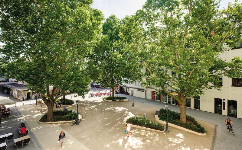 Der Hopfengarten, einst nur Parkplatz, hat sich zu einem charmanten und lebendigen Stadtplatz im Zentrum von Mainz entwickelt.
