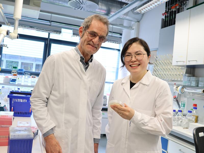 Jonathan Gershenzon and Ruo Sun