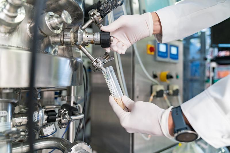 Probenahme bei der MEL-Fermentation im 75-Liter-Reaktor