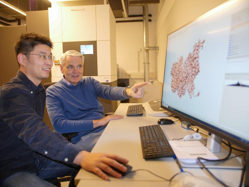 Biao Yuan und Dirk Heinz diskutieren eine Proteinstruktur, die sie mittels Kryo-Elektronenmikroskopie aufgenommen haben.