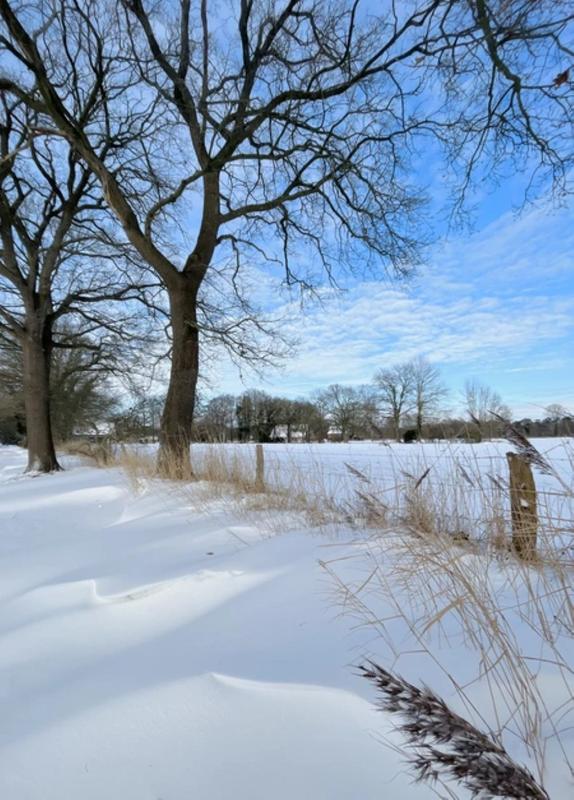 Schneeverwehungen durch den Sturm am Freitag schaffen reizvolle Formationen, beeinträchtigten aber auch den Straßen- und Schienenverkehr. In Niedersachsen wurden im Küstengebiet Schneefräsen eingesetzt, um besonders starke Verwehungen zu beseitigen.