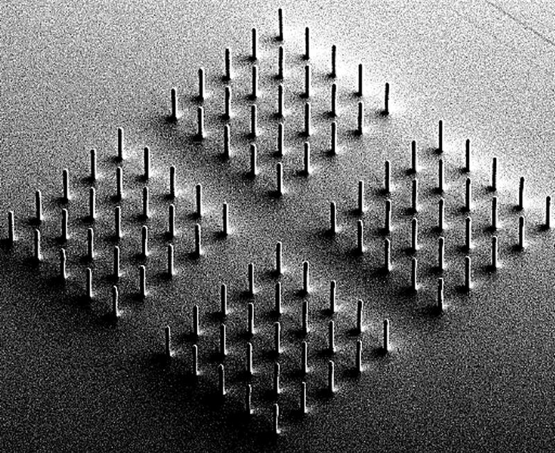 High-resolution image of the hydrogel microcilia