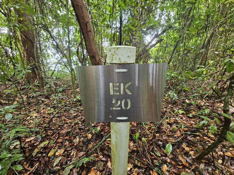 Ein Trail auf Barro Colorado Island in Panama trägt jetzt den Namen von Elisabeth Kalko. Auf der Wegmarke des Pfades stehen ihre Initialen 