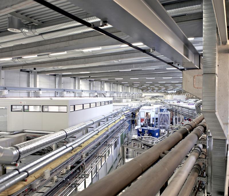 Die Röntgenbilder entstanden an der Forschungsanlage P05 des Hereons am DESY in Hamburg, wo hochintensive Röntgenstrahlung biologische und medizinische Proben in hoher Auflösung sichtbar macht. Foto: Hereon/Torben Fischer