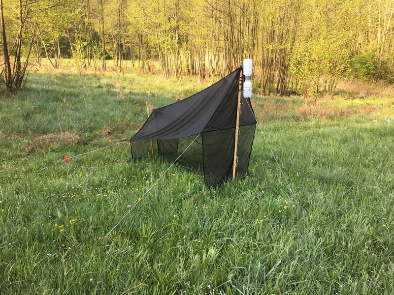 Mit Fallen wie diesen hat das Forschungsteam den Insektenbestand erfasst.