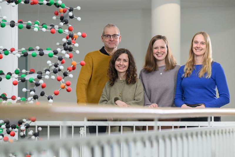 Das Autorenteam der Cell-Publikation (v.l.): Martin Eilers, Amel Aziba, Leonie Uhl und Sinah Löbbert. 