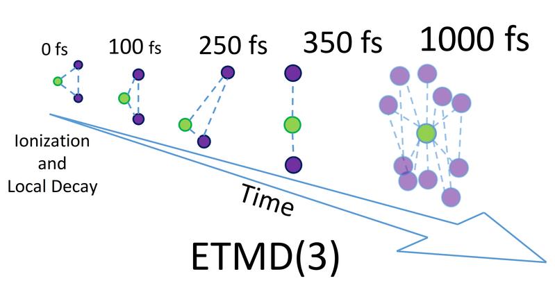   The study sheds light on the temporal development of the ETMD process.