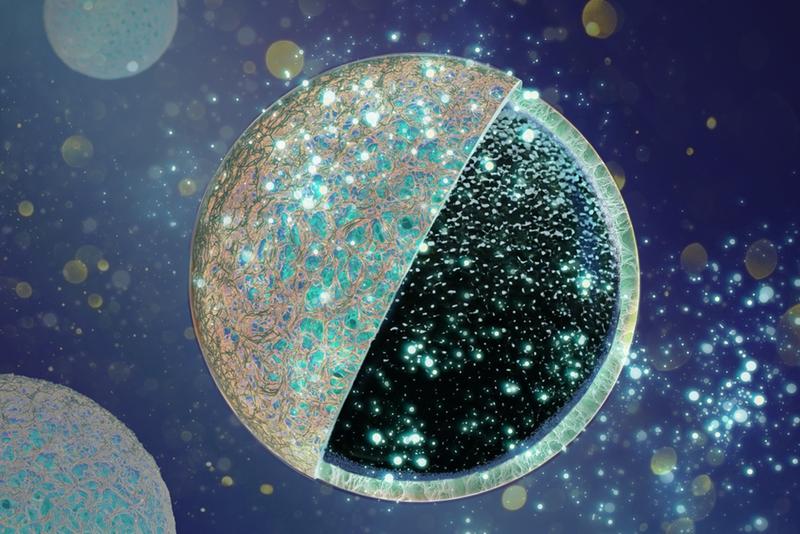 An outer protective layer shields the porous core of the carbon anode from unwanted deposits, thereby increasing the battery's performance.