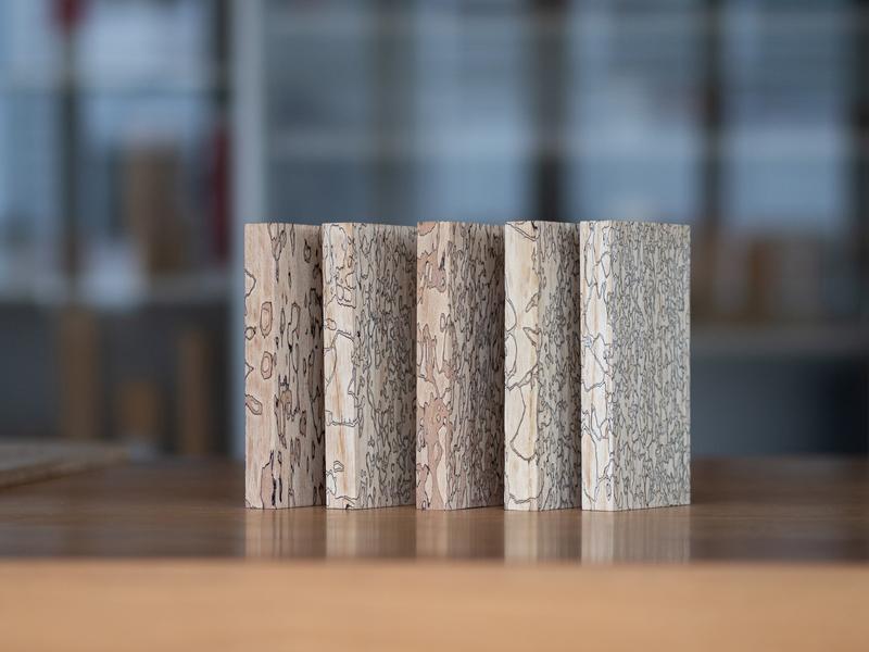 Marmorholz: Die schwarzen Linien bestehen aus dem natürlichen Pigment Melanin, die der Schlauchpilz während der Holzbesiedlung bildet.